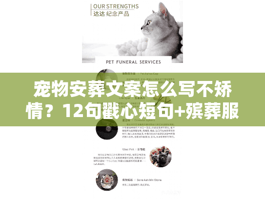 宠物安葬文案怎么写不矫情？12句戳心短句+殡葬服务避坑指南