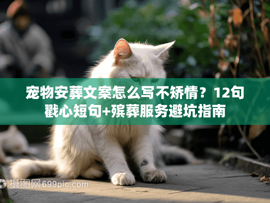 宠物安葬文案怎么写不矫情？12句戳心短句+殡葬服务避坑指南
