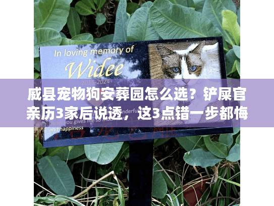 威县宠物狗安葬园怎么选？铲屎官亲历3家后说透，这3点错一步都悔