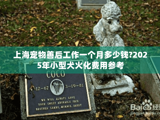 上海宠物善后工作一个月多少钱?2025年小型犬火化费用参考