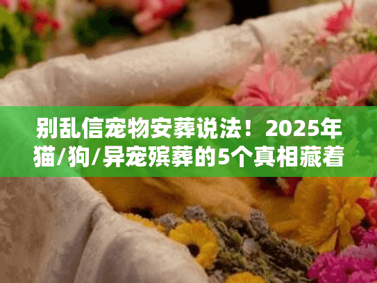 别乱信宠物安葬说法!2025年猫/狗/异宠殡葬的5个真相藏着多少坑? 别乱信宠物安葬说法!2025年猫/狗/异宠殡葬的5个真相藏着多少坑?