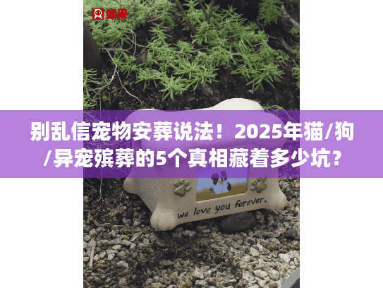 别乱信宠物安葬说法!2025年猫/狗/异宠殡葬的5个真相藏着多少坑? 别乱信宠物安葬说法!2025年猫/狗/异宠殡葬的5个真相藏着多少坑?