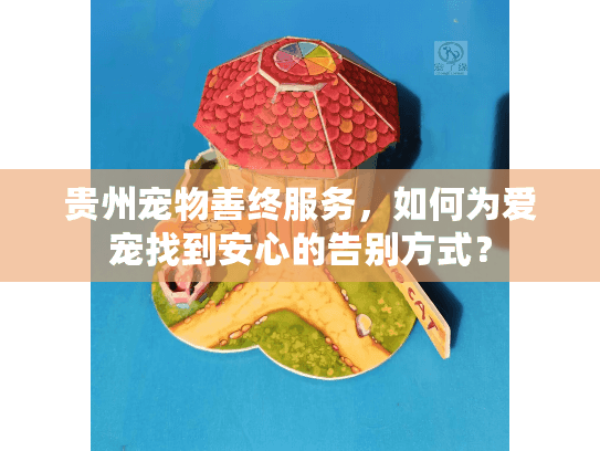 贵州宠物善终服务，如何为爱宠找到安心的告别方式？