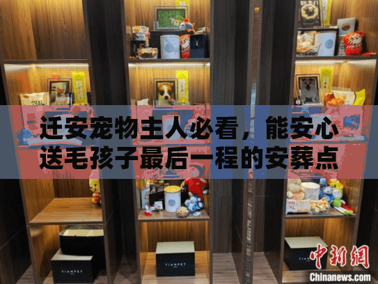 迁安宠物主人必看，能安心送毛孩子最后一程的安葬点，电话和真相都在这
