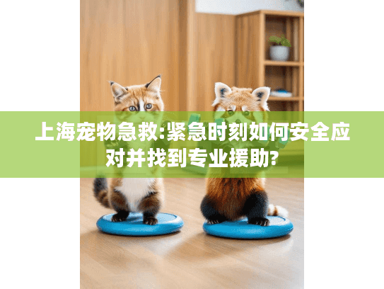 上海宠物急救:紧急时刻如何安全应对并找到专业援助?