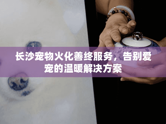 长沙宠物火化善终服务，告别爱宠的温暖解决方案