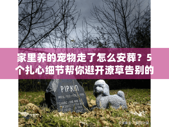 家里养的宠物走了怎么安葬？5个扎心细节帮你避开潦草告别的坑（2025最新）
