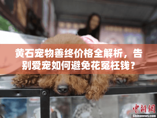 黄石宠物善终价格全解析，告别爱宠如何避免花冤枉钱？