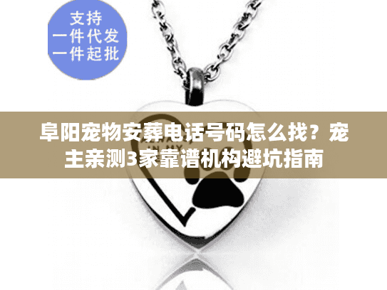 阜阳宠物安葬电话号码怎么找？宠主亲测3家靠谱机构避坑指南