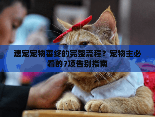 遗宠宠物善终的完整流程?宠物主必看的7项告别指南 遗宠宠物善终的完整流程?宠物主必看的7项告别指南