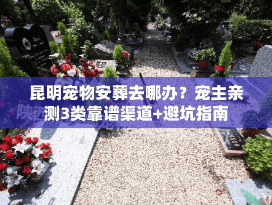 昆明宠物安葬去哪办？宠主亲测3类靠谱渠道+避坑指南
