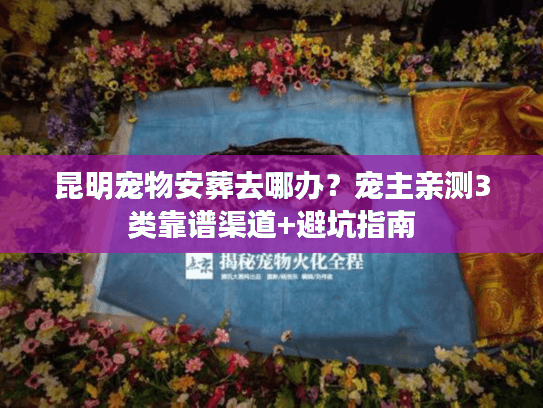 昆明宠物安葬去哪办？宠主亲测3类靠谱渠道+避坑指南