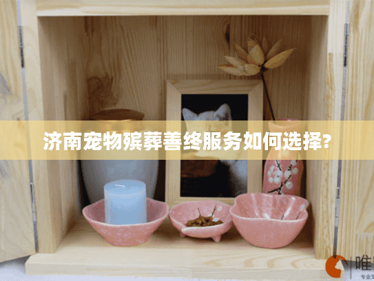 济南宠物殡葬善终服务如何选择? 济南宠物殡葬善终服务如何选择?