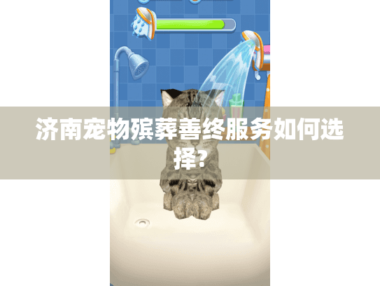 济南宠物殡葬善终服务如何选择? 济南宠物殡葬善终服务如何选择?