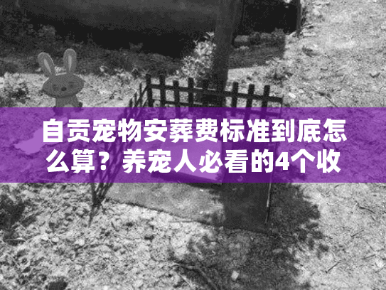 自贡宠物安葬费标准到底怎么算？养宠人必看的4个收费真相+2025最新案例