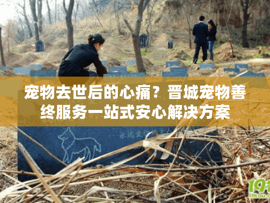 宠物去世后的心痛？晋城宠物善终服务一站式安心解决方案