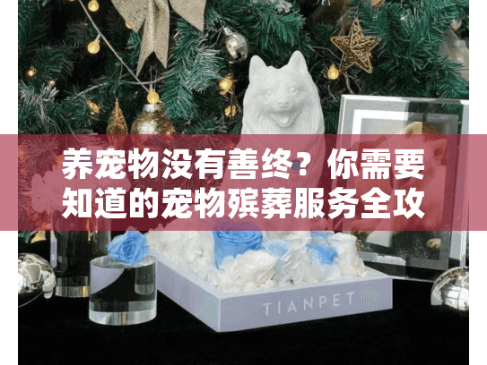 养宠物没有善终？你需要知道的宠物殡葬服务全攻略