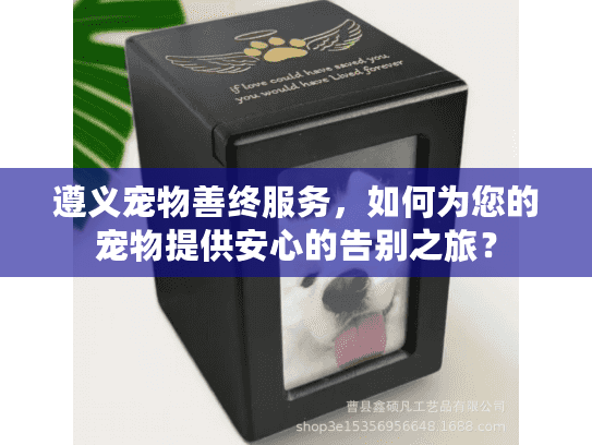 遵义宠物善终服务，如何为您的宠物提供安心的告别之旅？