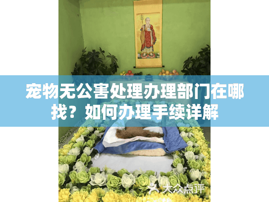 宠物无公害处理办理部门在哪找？如何办理手续详解