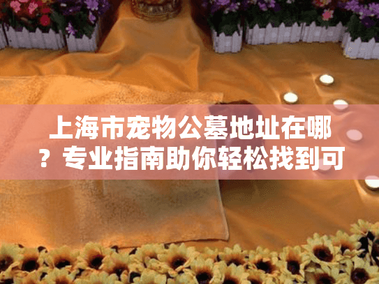 上海市宠物公墓地址在哪？专业指南助你轻松找到可靠安葬地点