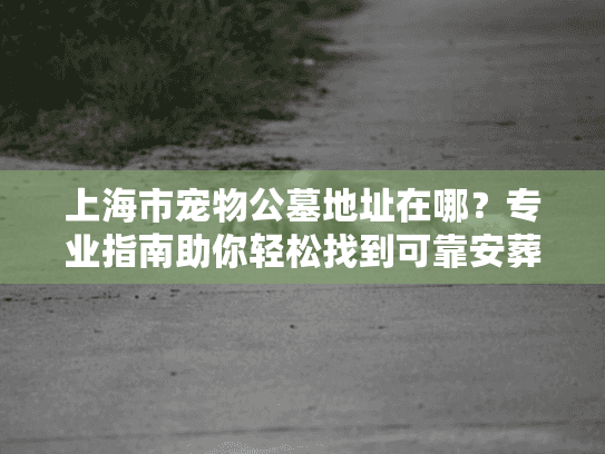 上海市宠物公墓地址在哪？专业指南助你轻松找到可靠安葬地点