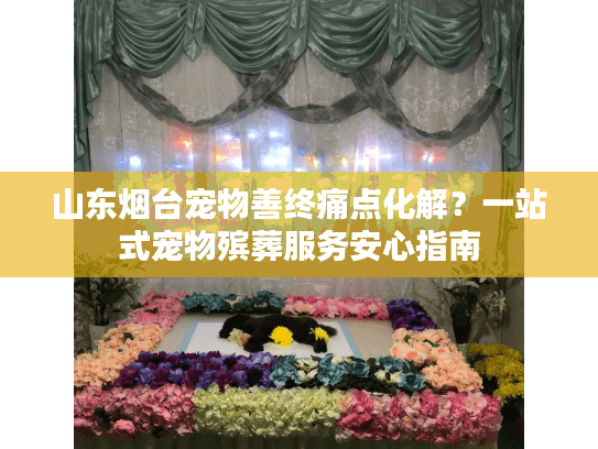 山东烟台宠物善终痛点化解？一站式宠物殡葬服务安心指南