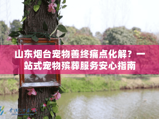 山东烟台宠物善终痛点化解？一站式宠物殡葬服务安心指南