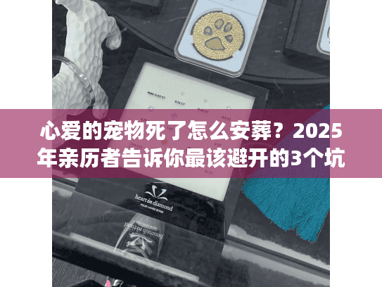 心爱的宠物死了怎么安葬？2025年亲历者告诉你最该避开的3个坑