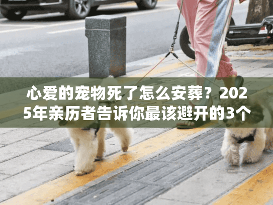 心爱的宠物死了怎么安葬？2025年亲历者告诉你最该避开的3个坑