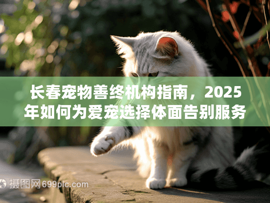 长春宠物善终机构指南，2025年如何为爱宠选择体面告别服务？