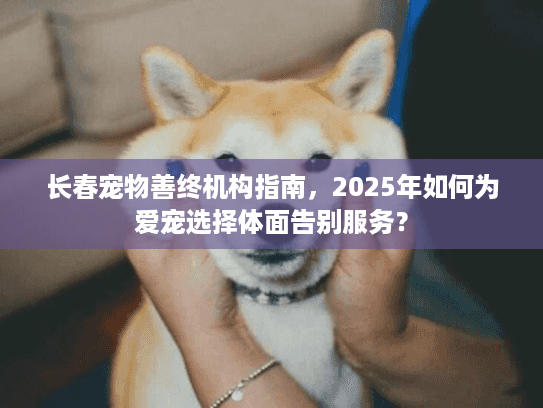 长春宠物善终机构指南，2025年如何为爱宠选择体面告别服务？