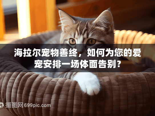 海拉尔宠物善终，如何为您的爱宠安排一场体面告别？