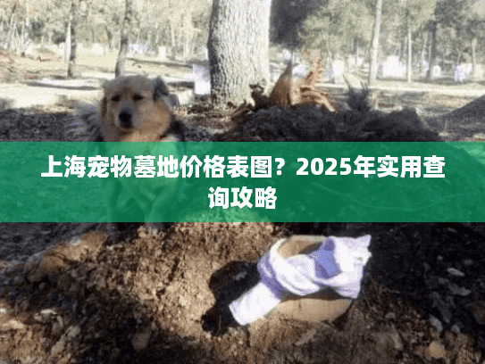 上海宠物墓地价格表图？2025年实用查询攻略