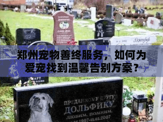 郑州宠物善终服务，如何为爱宠找到温馨告别方案？