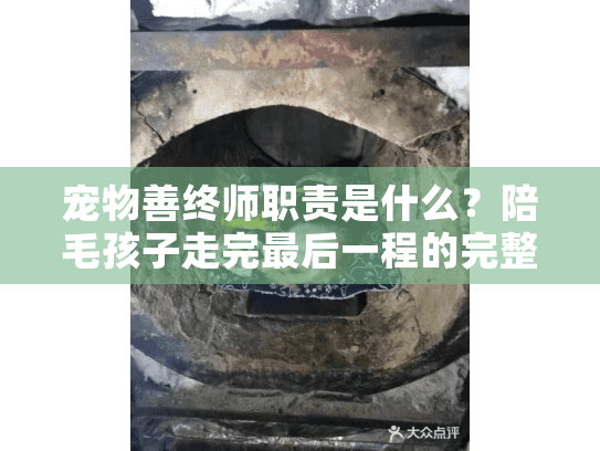 宠物善终师职责是什么？陪毛孩子走完最后一程的完整指南