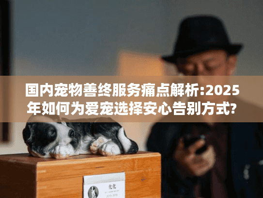 国内宠物善终服务痛点解析:2025年如何为爱宠选择安心告别方式?