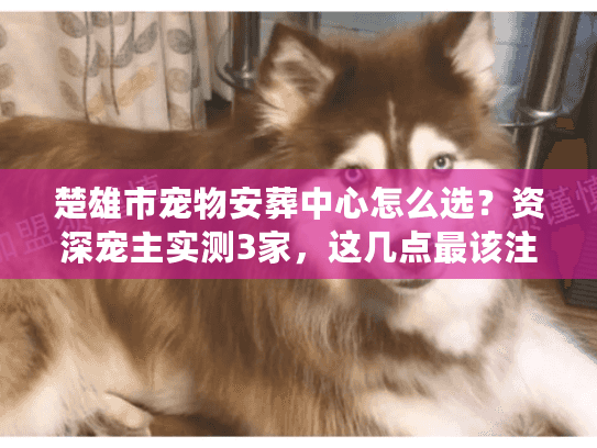 楚雄市宠物安葬中心怎么选？资深宠主实测3家，这几点最该注意！