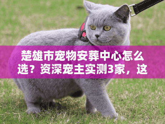 楚雄市宠物安葬中心怎么选？资深宠主实测3家，这几点最该注意！