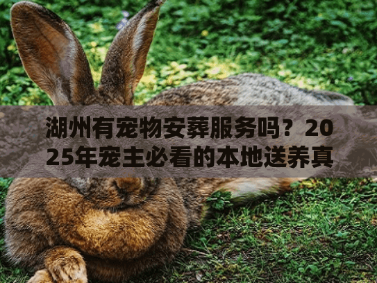 湖州有宠物安葬服务吗？2025年宠主必看的本地送养真相与避坑指南