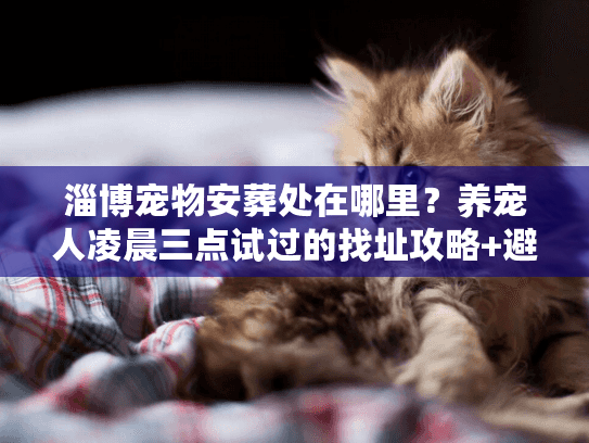 淄博宠物安葬处在哪里？养宠人凌晨三点试过的找址攻略+避坑清单