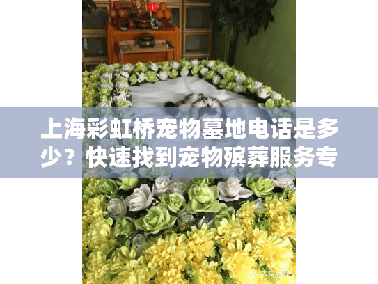 上海彩虹桥宠物墓地电话是多少？快速找到宠物殡葬服务专线