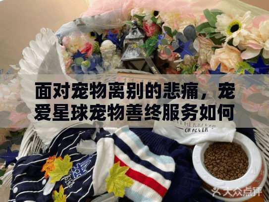 面对宠物离别的悲痛，宠爱星球宠物善终服务如何治愈您的心灵？