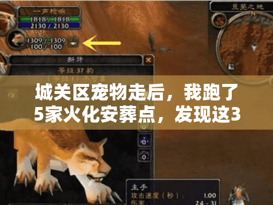 城关区宠物走后，我跑了5家火化安葬点，发现这3个坑90%的人都踩过