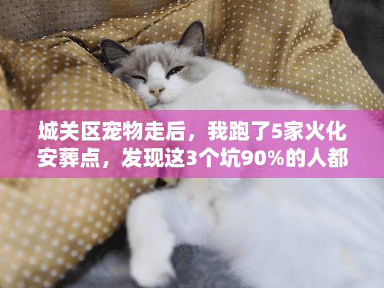城关区宠物走后，我跑了5家火化安葬点，发现这3个坑90%的人都踩过