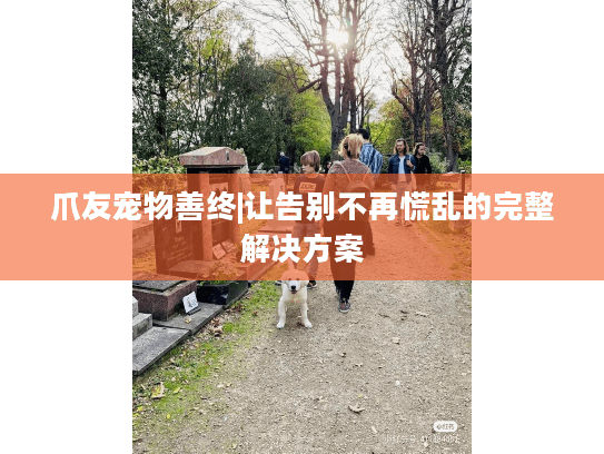爪友宠物善终|让告别不再慌乱的完整解决方案