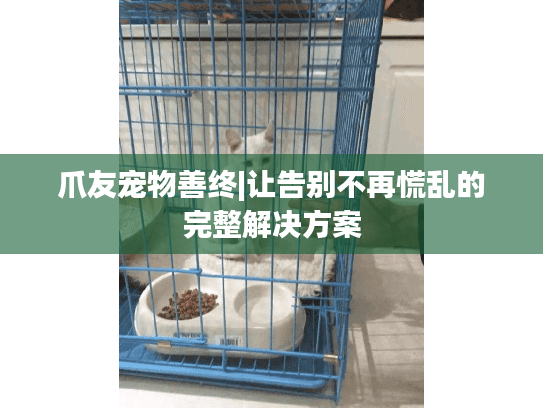 爪友宠物善终|让告别不再慌乱的完整解决方案