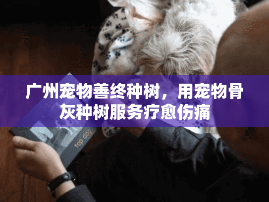 广州宠物善终种树，用宠物骨灰种树服务疗愈伤痛
