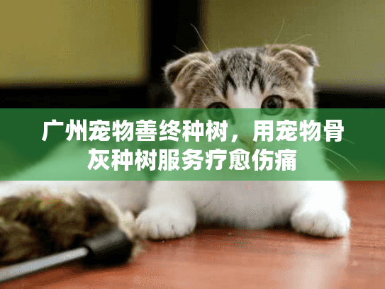 广州宠物善终种树，用宠物骨灰种树服务疗愈伤痛