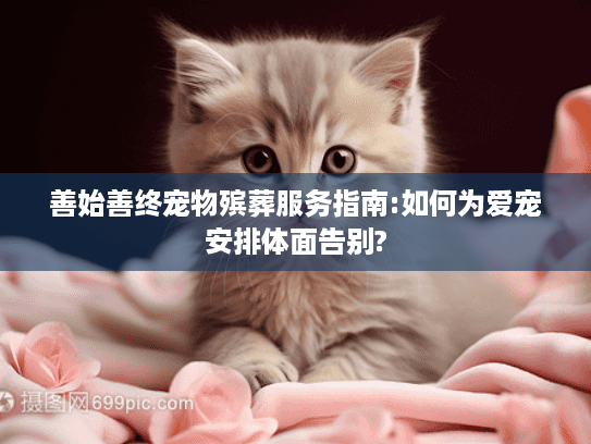 善始善终宠物殡葬服务指南:如何为爱宠安排体面告别?