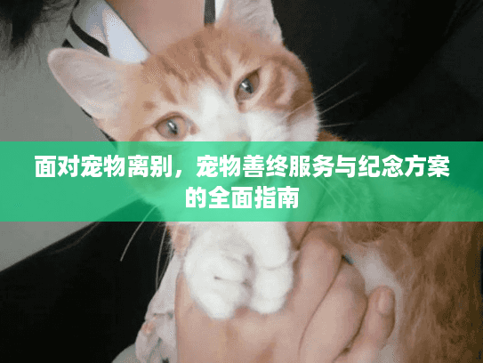 面对宠物离别，宠物善终服务与纪念方案的全面指南